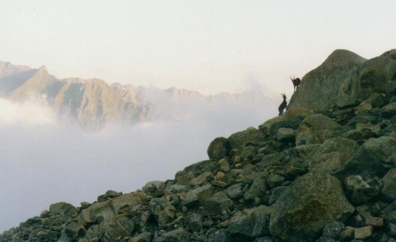 Pokra�ujte kliknut�m na obr�zek