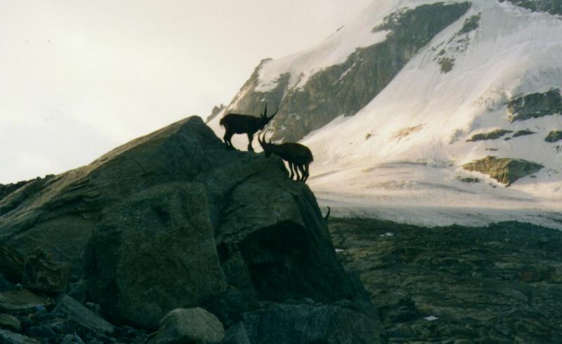 Pokra�ujte kliknut�m na obr�zek